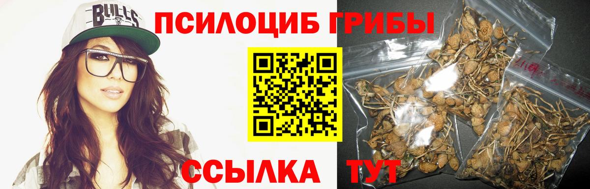 Псилоцибиновые грибы Cubensis  как найти   Скопин  Вход с VPN 