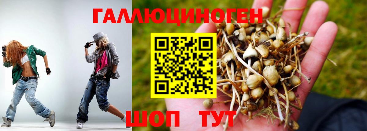 Псилоцибиновые грибы Cubensis Скопин